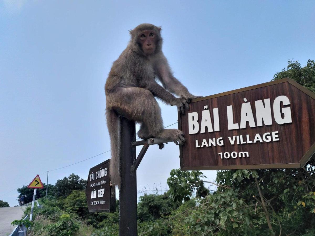 Monkeyland Cham Island Homestay Tân Hiệ Buitenkant foto